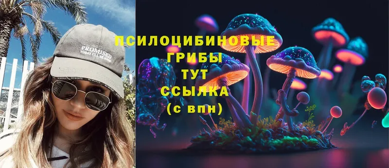 где продают наркотики  Аша  Галлюциногенные грибы Psilocybine cubensis 